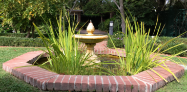Artichoke Fountain